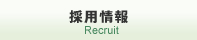 採用情報