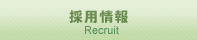 採用情報